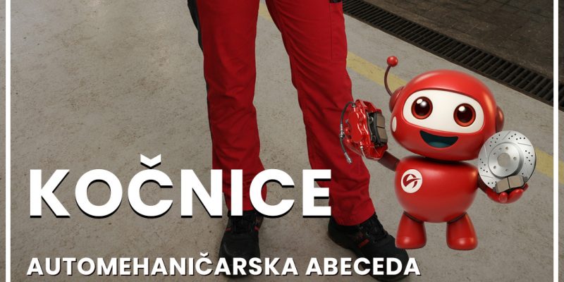 AA_Kocnice_blog